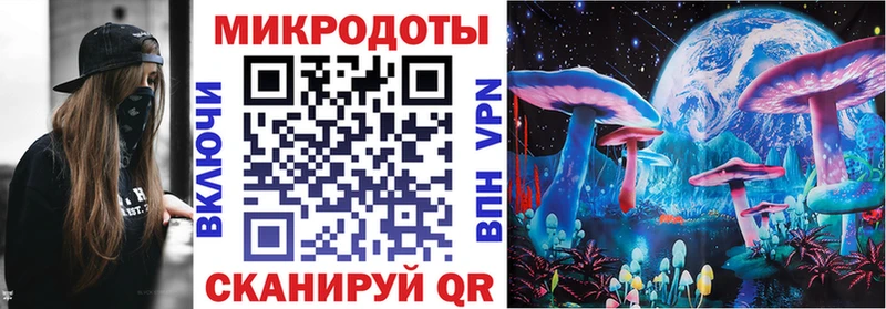 Псилоцибиновые грибы MAGIC MUSHROOMS Петровск-Забайкальский